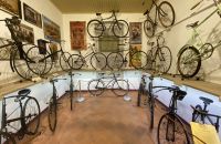 242/A - Collezione A. & C. Azzini