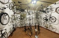 242/A - Collezione A. & C. Azzini