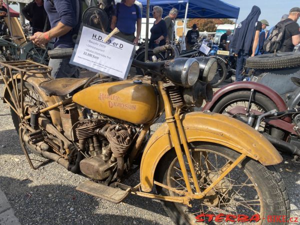 VETERAMA 2022 full report