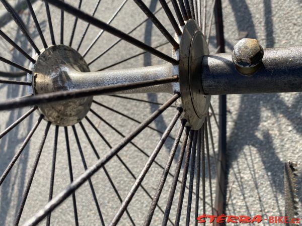 VETERAMA 2022 full report