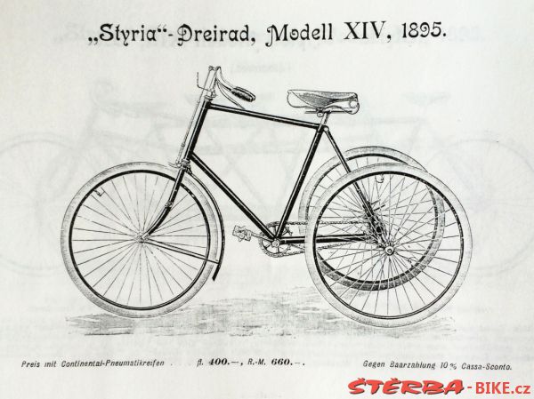 Styria 1895