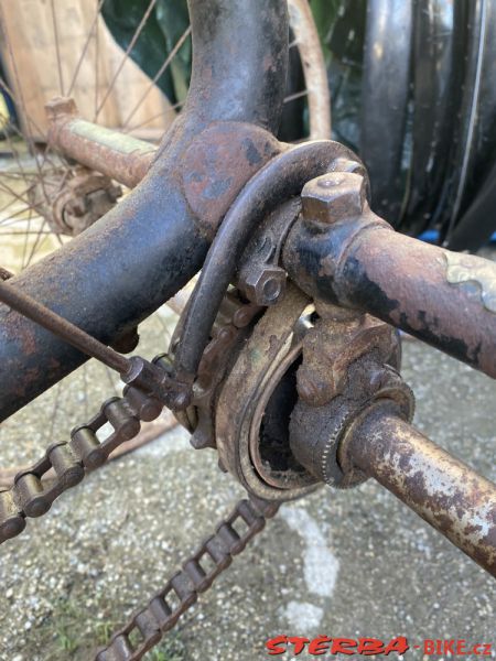 VETERAMA 2022 full report