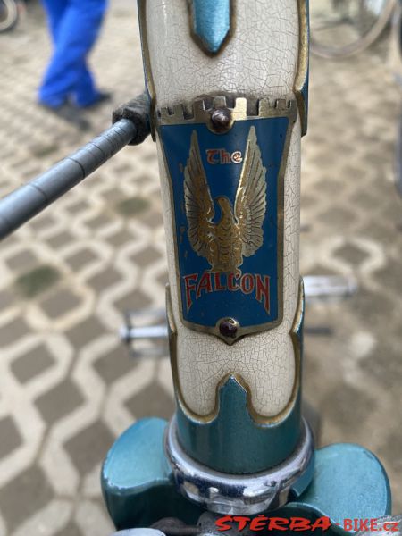 VETERAMA 2022 full report