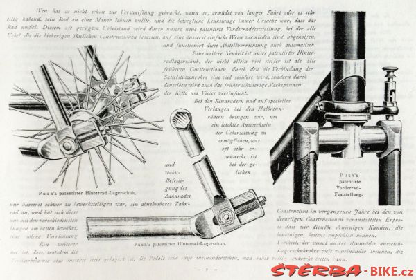 Styria 1895