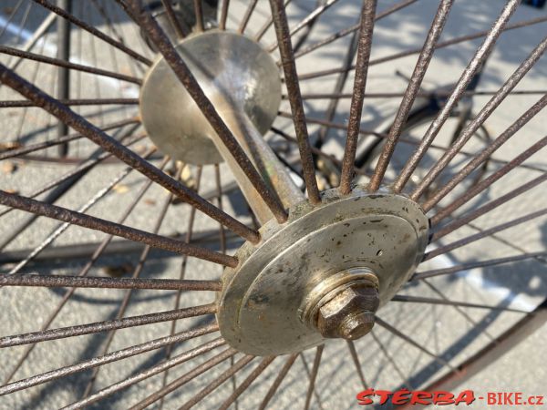 VETERAMA 2022 full report