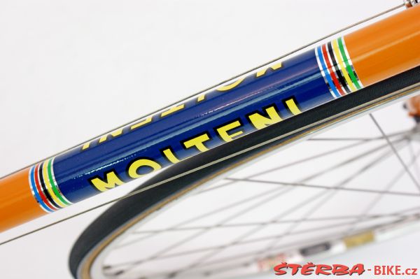 MOLTENI TEAM REPLICA - Italy