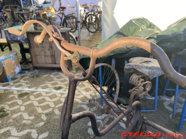 VETERAMA 2022 full report