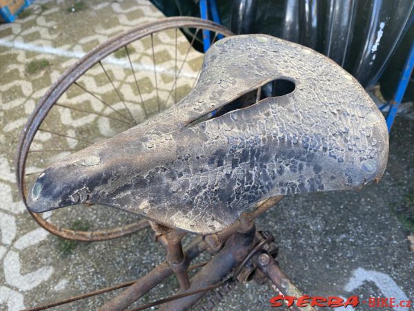 VETERAMA 2022 full report