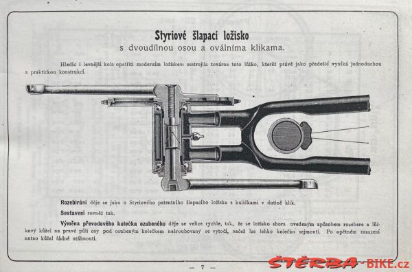 Styria 1900