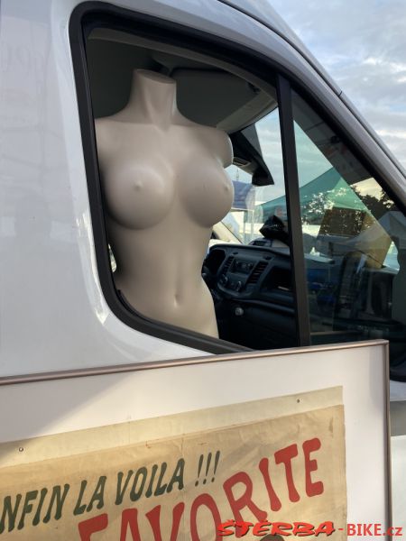 VETERAMA 2022 full report