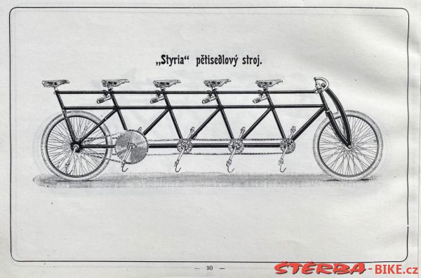 Styria 1900