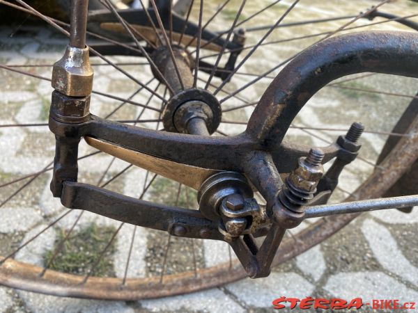 VETERAMA 2022 full report