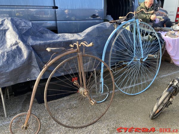 VETERAMA 2022 full report
