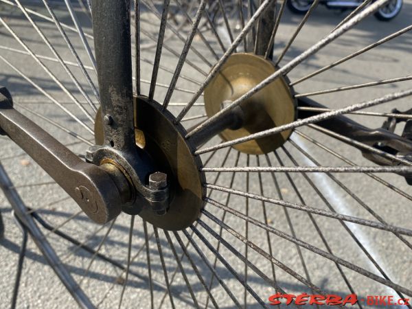 VETERAMA 2022 full report