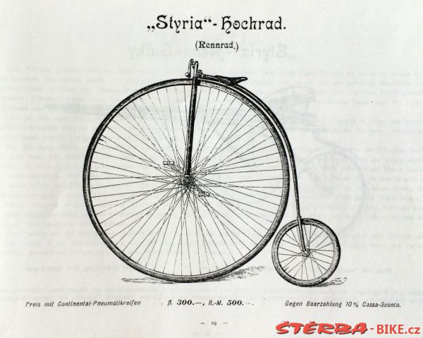 Styria 1895