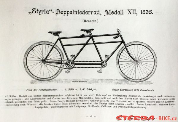 Styria 1895