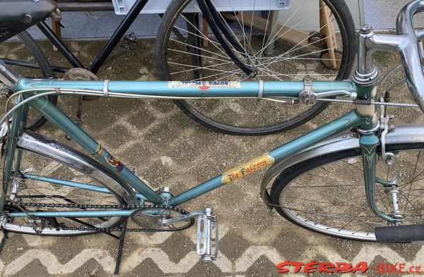 VETERAMA 2022 full report