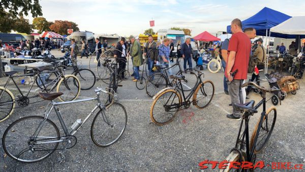 VETERAMA 2022 full report