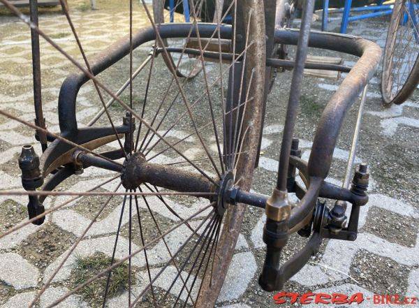 VETERAMA 2022 full report