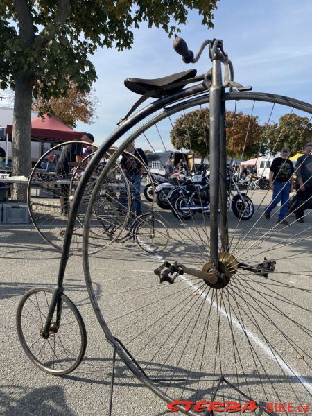 VETERAMA 2022 full report