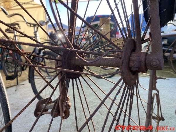 VETERAMA 2022 full report