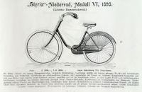 Styria 1895