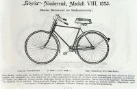 Styria 1895