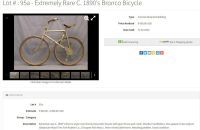 Bronco style bicycle