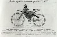 Styria 1895