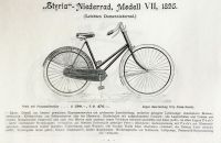 Styria 1895