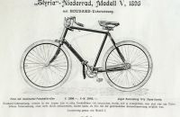 Styria 1895