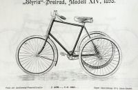 Styria 1895