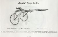 Styria 1895