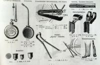 Styria 1895
