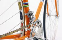 MOLTENI TEAM REPLICA - Italy