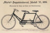 Styria 1896