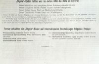 Styria 1895