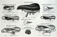 Styria 1895