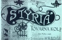 Styria 1900