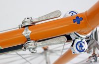 MOLTENI TEAM REPLICA - Italy