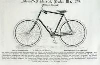 Styria 1895