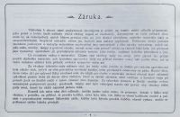 Styria 1900