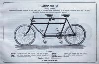 Styria 1900
