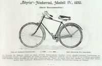 Styria 1895