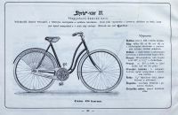 Styria 1900