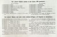 Styria 1895