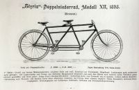 Styria 1895