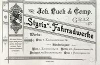 Styria 1895