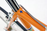 MOLTENI TEAM REPLICA - Italy