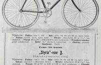 Styria 1900